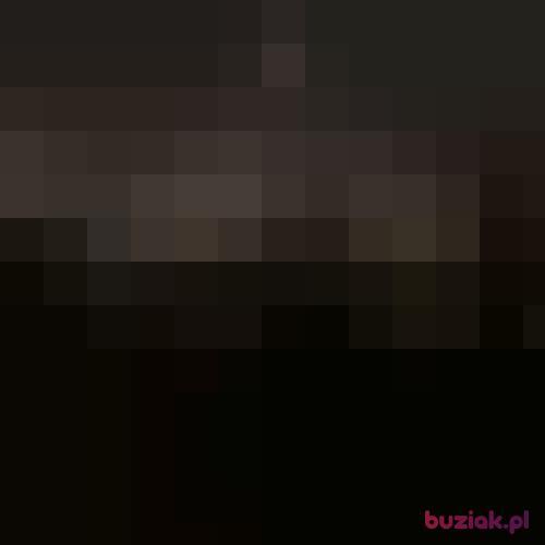 bart81h, Male, 45 years, Wrocław