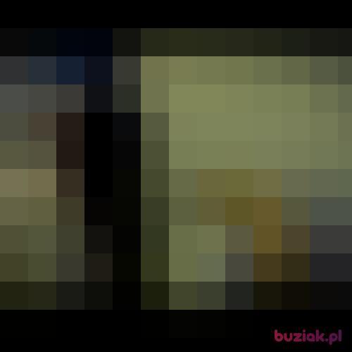 n0o, Male, 37 years, Turek