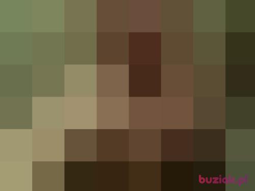bubu77, Male, 49 years, Warszawa