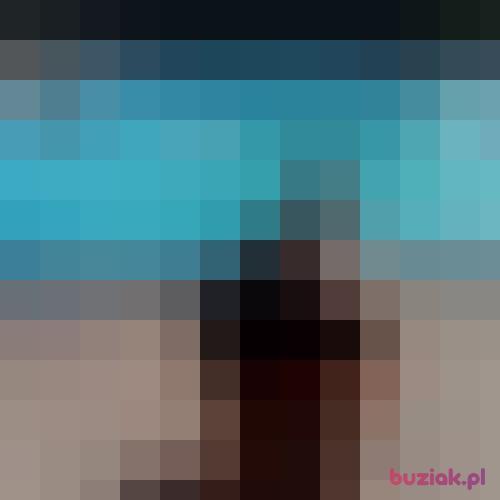 Dominzdr, Male, 38 years, Haarlem