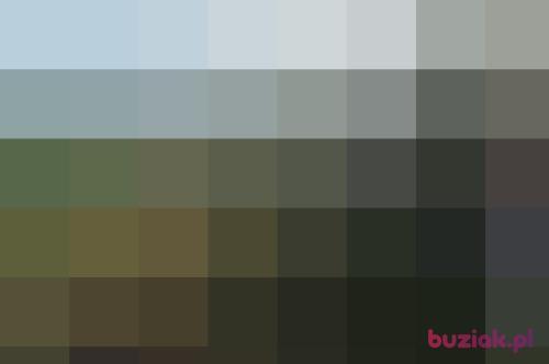 sella68, Female, 58 years, Warszawa