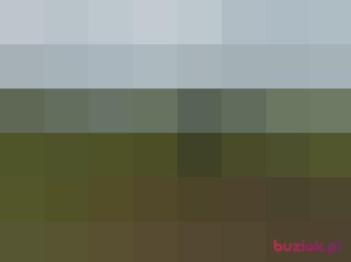 darius1, Male, 54 years, Edinburgh
