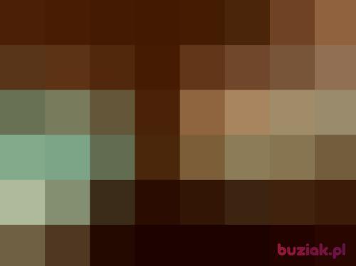 albert555, Male, 30 years, Mikstat