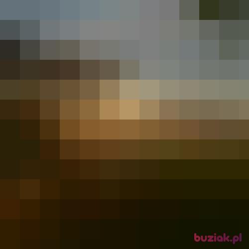 Xxxx7777, Mężczyzna, 36 lat, Lubaczów