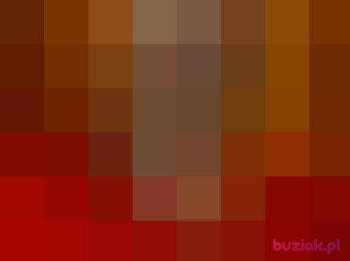Degano, Male, 41 years, Bytom