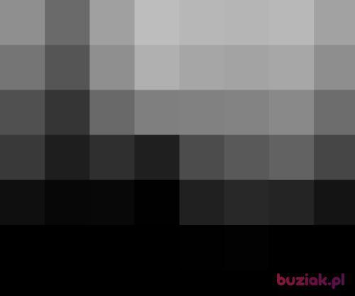 Czada, Male, 39 years, Częstochowa