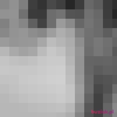 Slicznebbw, Female, 29 years, Kozienice