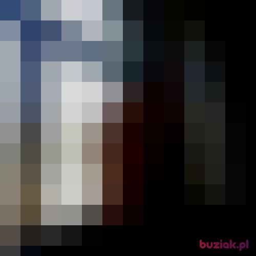 Wit3k, Male, 33 years, Bydgoszcz