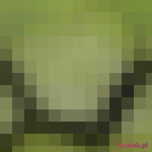 ptysiukolorowy, Male, 45 years, Piotrków Trybunalski