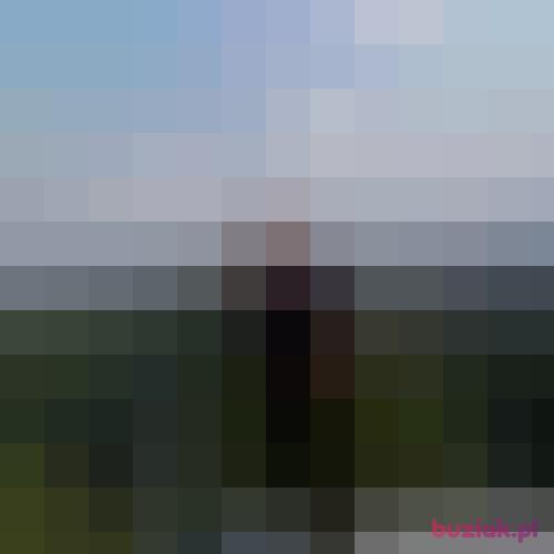 anielskiwaldo, Male, 55 years, Turyngia