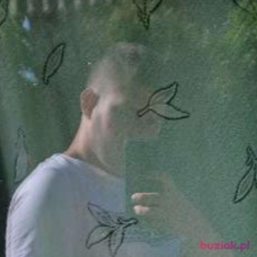 Dawid0524, Male, 21 years, Gostynin