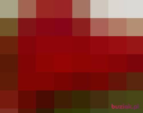 ffajnaa, Female, 56 years, Chrzanów