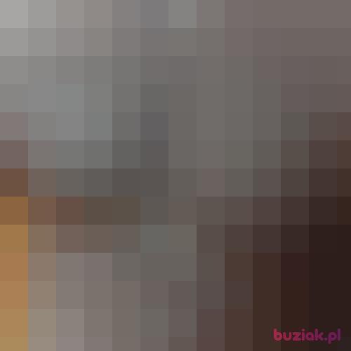 kornel90, Male, 36 years, Breda