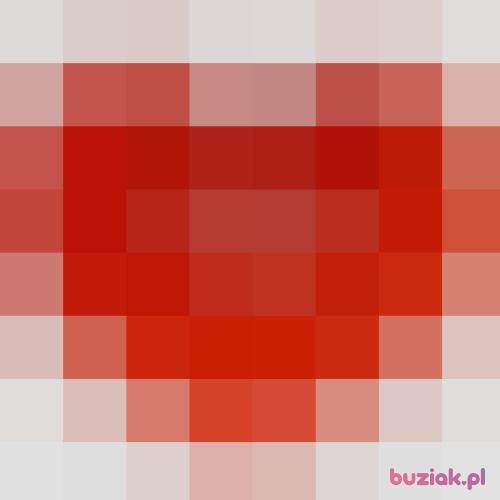 Tedde, Male, 28 years, Będzin