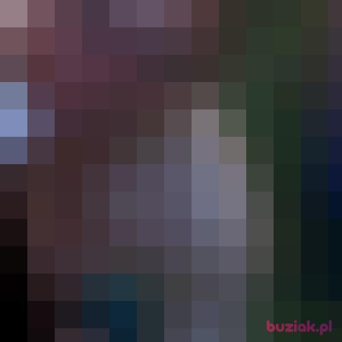 arczi209, Male, 35 years, Bydgoszcz