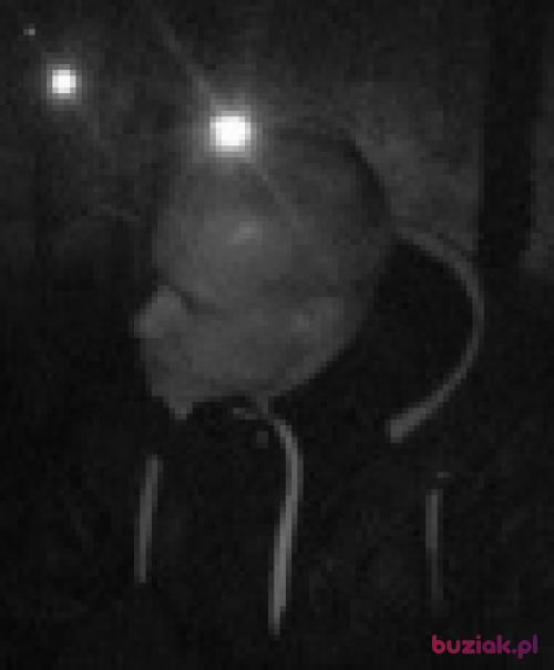 PsssZapomnij, Mężczyzna, 33 lata, Szczecin