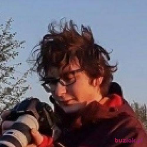 artur265, Male, 31 years, śląskie