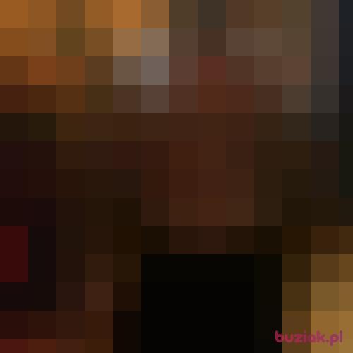 boss77, Male, 34 years, Eindhoven