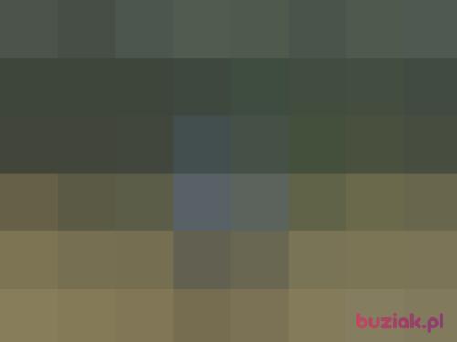 wieslaw68, Male, 58 years, Słupsk