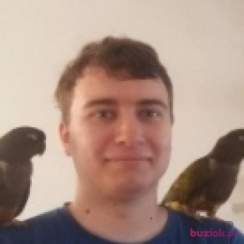 Nukaman, Male, 32 years, Kielce