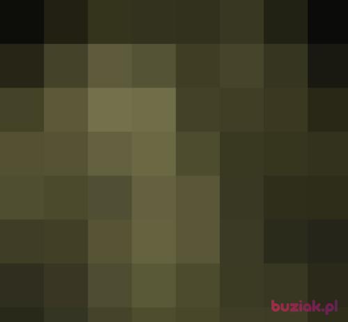Szajbuxx, Male, 40 years, pomorskie