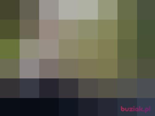 andziusss, Female, 27 years, śląskie