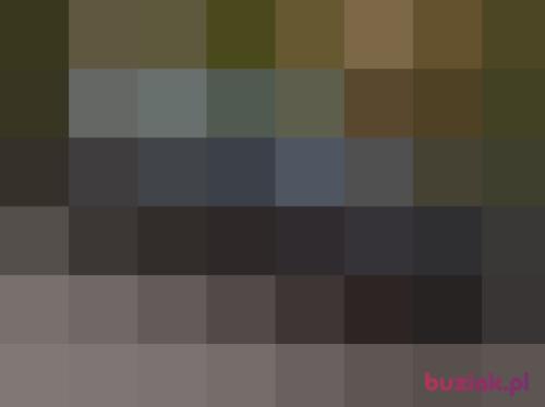 Michal9515, Male, 31 years, Lubin