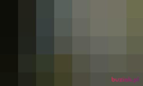 ktawt, Female, 28 years, Malbork