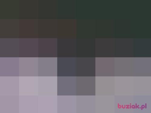 pawelwrz, Male, 58 years, Września