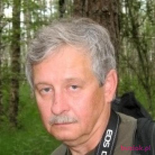 Komar1909, Male, 64 years, lubuskie