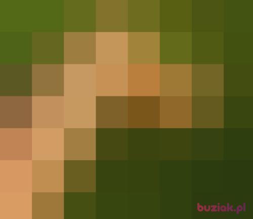 kajja888, Female, 33 years, Częstochowa