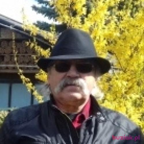 pincerton, Male, 76 years, Ontario