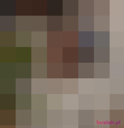 acon22, Male, 34 years, Gliwice