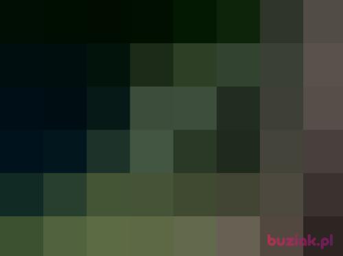 b1235, Female, 60 years, wielkopolskie