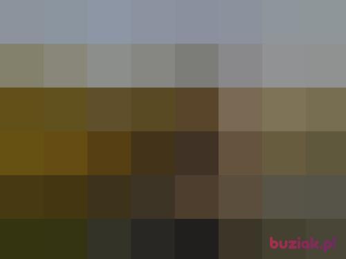 robas12327, Male, 41 years, Sosnowiec