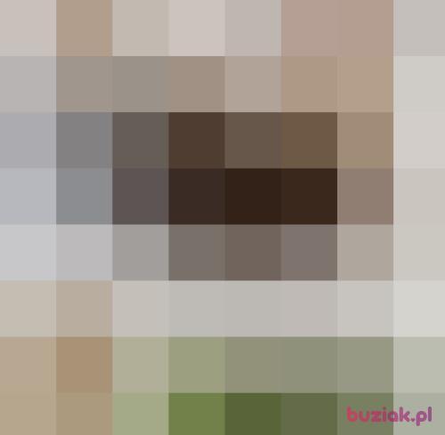 Lukaszunio, Male, 32 years, Bytom