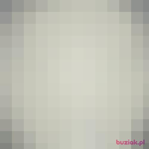Duszek_Kacper, Male, 33 years, Amsterdam