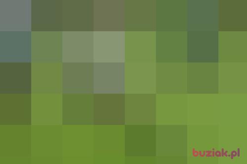 xXDanieloo93Xx, Male, 33 years, Skwierzyna