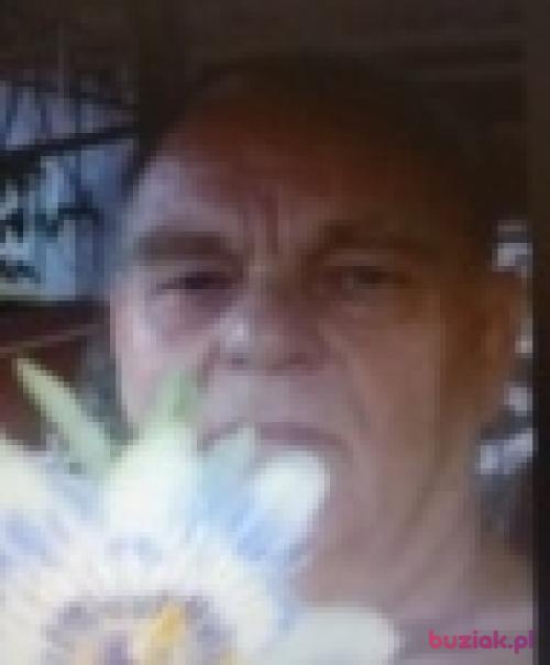 anto1, Male, 78 years, Radzymin