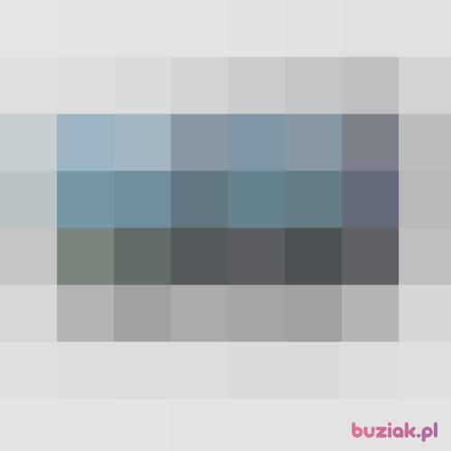 nomad1, Male, 61 years, Bydgoszcz