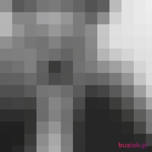 Dominiczekwkz, Male, 21 years, Kozienice