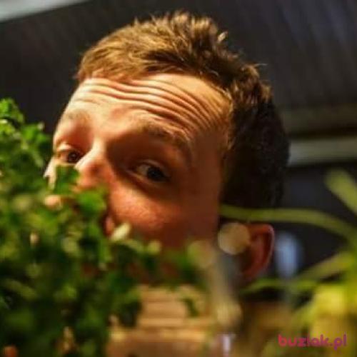 rybski, Male, 39 years, Dresden