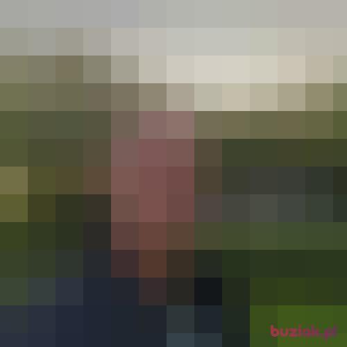 Karollo1234, Male, 50 years, Enschede