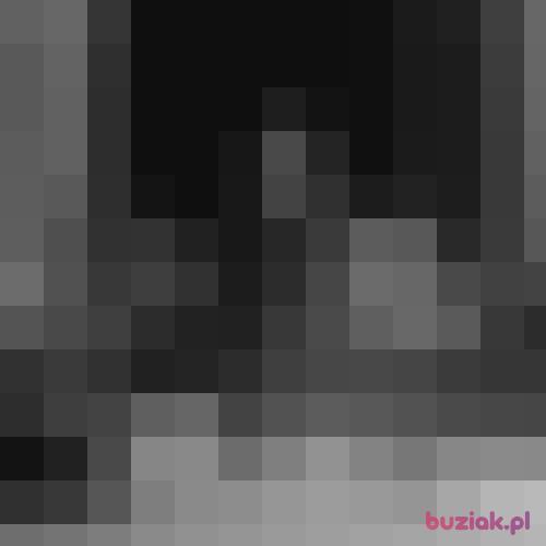 BRZUCHO111, Male, 44 years, Stratford-Upon-Avon