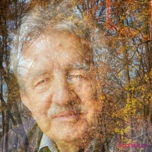 dojrzaly01, Male, 82 years, Tychy