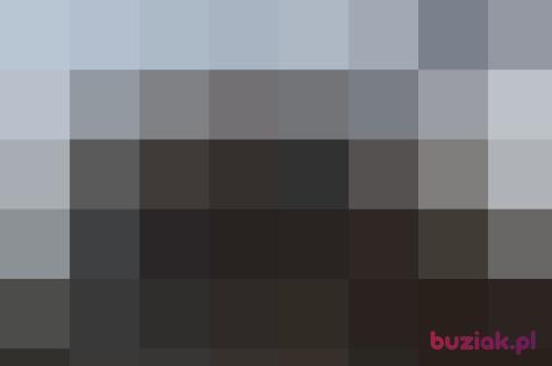 iamblue, Male, 39 years, Bydgoszcz