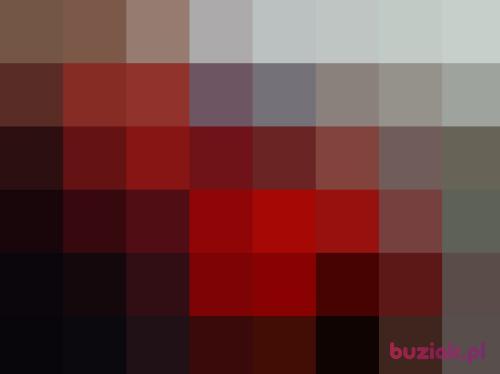 bmb, Male, 65 years, Lubań