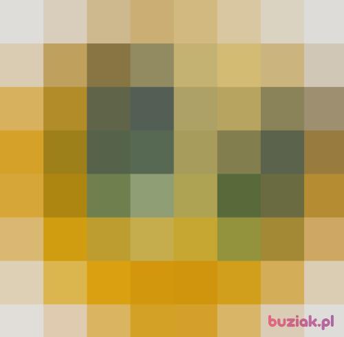 WIGO40, Female, 47 years, Frankfurt