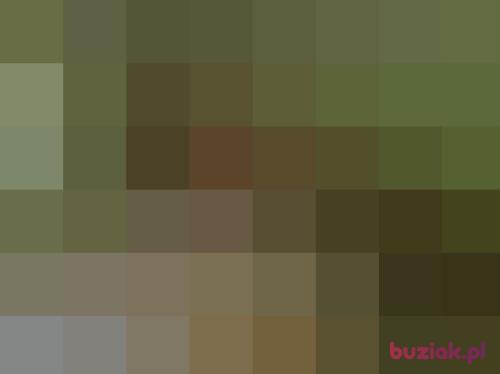 Mar38tcz, Male, 46 years, Tczew