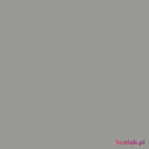 drhouse, Male, 32 years, Bytom